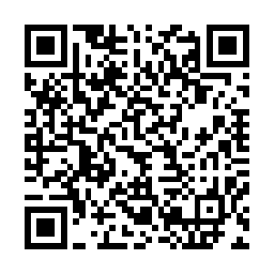 以前在自己眼中实力算是顶尖的大圣师就如蚂蚁一般的弱小二维码生成