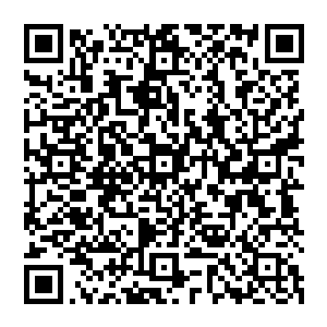 以前在黑炎城订购的那套面积为210平米的两层楼的组装木屋原本张铁一直没有时间把它组装起来二维码生成