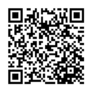 以前她从苏茜怡的任务中就感应到有生命灵泉的信息二维码生成