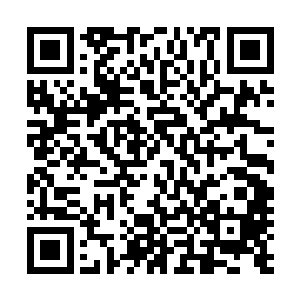 以前她们就已经发现夏大少跟夏云杰有着一种很奇怪的像似二维码生成