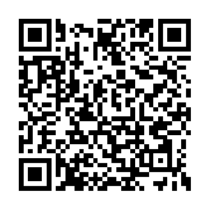 以前少爷赋闲在家的时候好多主意都是少爷出的二维码生成