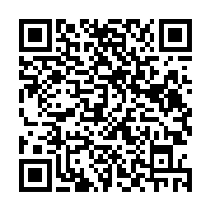 以前怎么没发现布尔维克这个家伙会做出这么丢份的事情呢二维码生成