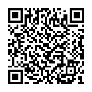 以前我不去是因为外面的菜市场挑选的余地更大二维码生成