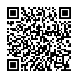 以前我们三名大巫都齐全时也没能压过另外两族二维码生成