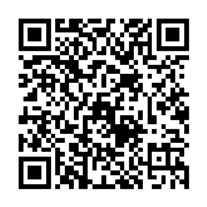 以前我们兄弟几个都认为你和大哥是咱们霍家的顶梁柱二维码生成