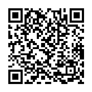 以前我们去中国旅游的时候一瓶是二百多人民币吧二维码生成