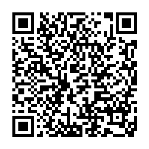 以前我们看的那些科幻片在这一次的毁灭风暴面前只能算是小打小闹二维码生成