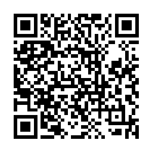 以前猿狞这个大老粗只知道这九九归一元神丹非常昂贵二维码生成