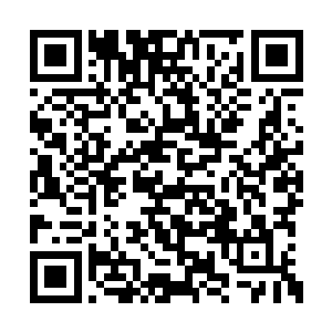 以前王铮只是为了成为超级战士而成为超级战士二维码生成