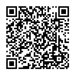 以前的众多天狼国散修来天狼城参加弥陀山浮屠宫弟子选拔的浮屠大会时二维码生成