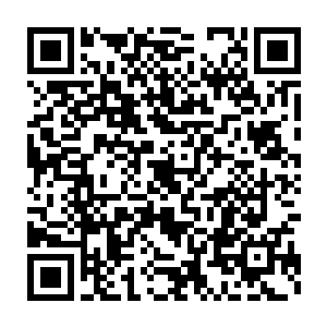 以前的时候因上贝海不太吃菜类家里一般也就是从村里买来的青菜二维码生成