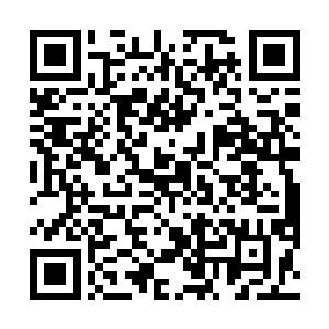 以前的时候老朽离开鸿蒙虚天塔的确会受到不小的伤害二维码生成