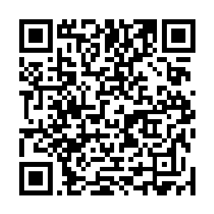 以前看很多小女孩的家里都有一个这样的玩具她也很羡慕二维码生成