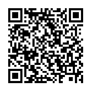 以前秦北欠孙府银子时卑躬屈膝般的模样早就不见了二维码生成