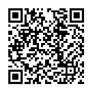 以前蓝色盾牌的确没有这个经济能力做到这种地步二维码生成