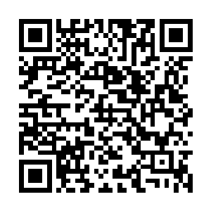 以前被太古焚龙一族统领的龙族纷纷背叛太古焚龙二维码生成