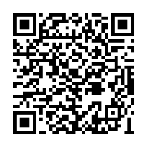 以前西城区统领徐堂然是绝对不敢染指雪玲珑的二维码生成