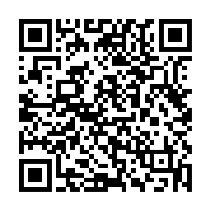 以前那些吃里巴外以为苍狼一笑除了他们没有人用的二维码生成