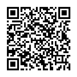 以前都说叶温柔是燕子坞百年难得一遇的习武奇才二维码生成