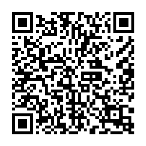 以博迪爵士和克拉伦斯爵士为首的毛里克斯拉尼自由国的大臣们都已经到了二维码生成