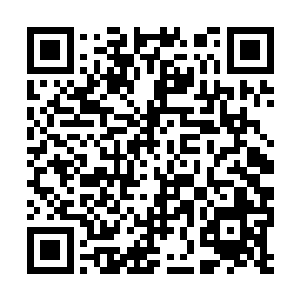 以及一些关于十二大家族子嗣和子嗣间的秘辛之事二维码生成