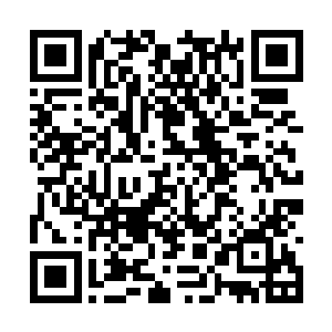 以及一批能够辅助其开辟一方宇宙世界的附庸种族二维码生成