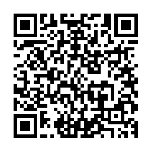 以及两个中期人尊带着剩下的七个初期人尊长老当场消失不见二维码生成