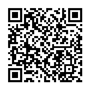 以及临海市方方面面的人物准备去往凌云山庄用餐二维码生成