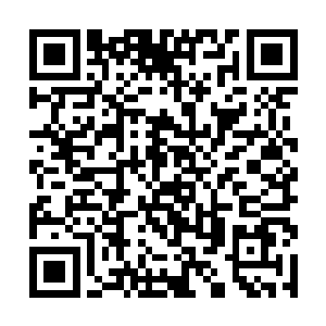 以及人们在工作生活之余要求最起码的休闲放松绿地二维码生成
