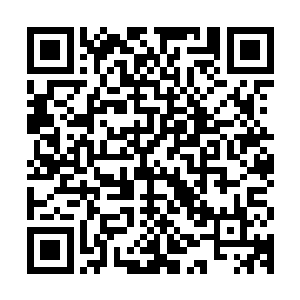 以及他们身上散发着五色光辉的铠甲也是瞬间龟裂出了无数裂纹二维码生成