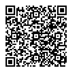 以及他自己在听完夏侯渊晋的话之后在短时间内查到的结果都还在脑海中一遍遍清晰回荡二维码生成