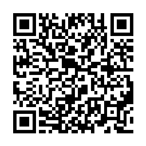 以及其他随军一同出征的奥林匹斯强者纷纷打起精神二维码生成