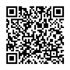 以及其余的珍稀资源都搬入太白云生的仙窍当中去二维码生成