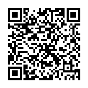 以及勾结德康家川故意买进有病兔子的罪行都供认不讳二维码生成