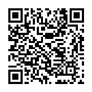 以及原东安郡三大家族之一南云家族的几位天神也都在坐二维码生成
