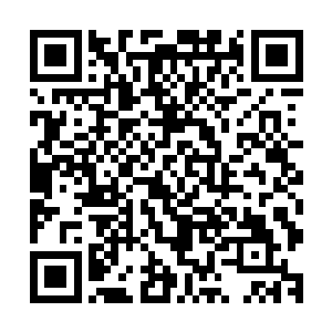以及另外三个在父母陪同下的熊孩子从他们身边或街对面走过二维码生成