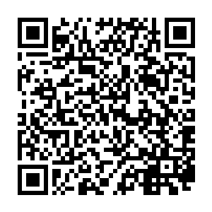 以及周身散发出来的高贵典雅……这种绝色美人放在外面都是极为罕见的极品二维码生成