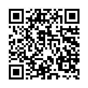 以及头顶上四百三十二只蚊虫的飞行轨迹二维码生成