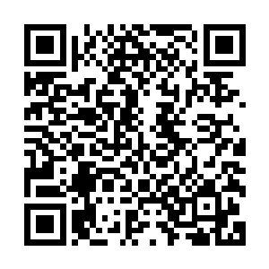 以及头顶的那一架架的不断盘旋的发出阵阵的轰鸣之声的飞机二维码生成