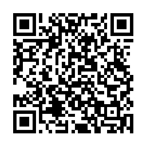 以及如程大人这些愿意赌上自己身家仕途的当世才俊二维码生成