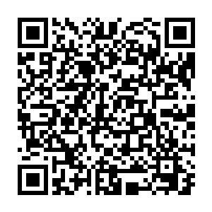 以及对大脑对身体的每个部位的最细微的操控的集大成者才能做到的二维码生成