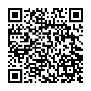 以及年轻师叔祖洪洗象瞎琢磨出来的黄庭莲花真经导引术二维码生成