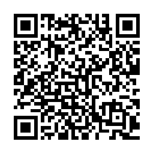以及感知能力的血尸神可谓是凌驾于一切战术的战略性打击武器二维码生成