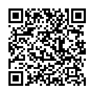 以及暴躁来袭的通天猿却是已经无不可避免的撞上了……二维码生成