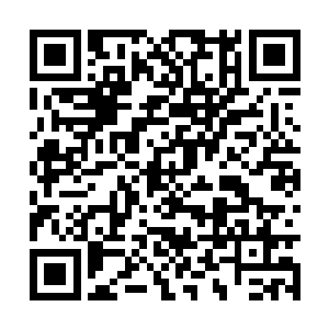 以及更远处那已经在炼狱魔主剧烈自爆中恢复原形二维码生成