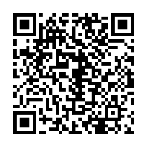 以及曹霑周围这一批三十大几到四十岁上下的朋友圈子里二维码生成