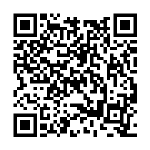 以及木灵族太尊的脊骨已经被我放进了元神空间中二维码生成