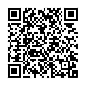 以及用曼陀罗华之盾的掩护之下成功冲过了最后的数十米距离二维码生成