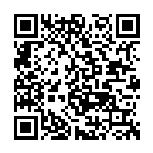 以及电子线路全都隐藏在机械臂的钢铁凹槽之内二维码生成