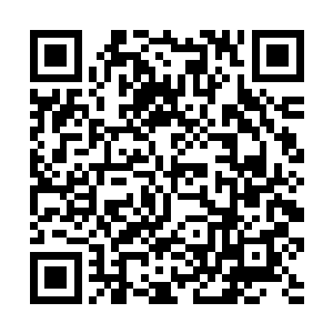 以及研究院的管理人员才可以凭借着自己的指纹打开二维码生成